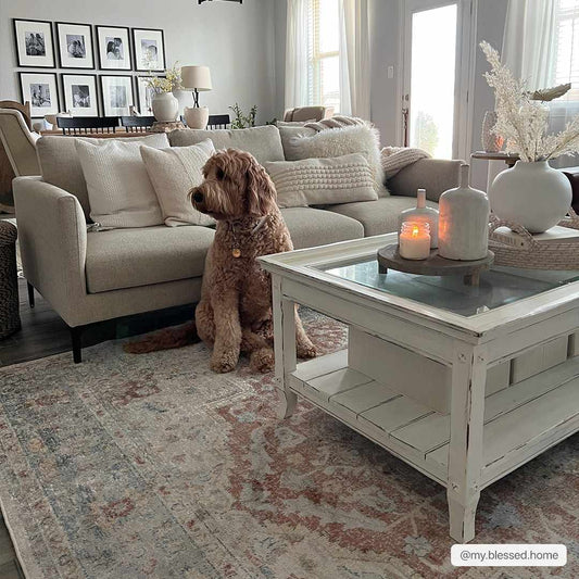 Emke Flat Pile Washable Rug - Clearance