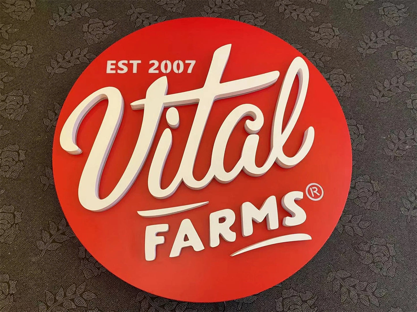 3D Backlit Acrylic Business Sign – Custom LED Logo Sign with Metal Backplate