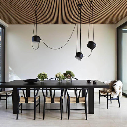 Aim Pendant Light