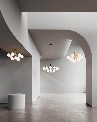Apiales Chandelier