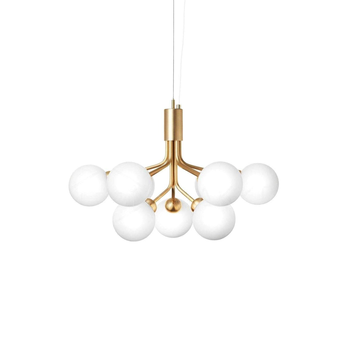 Apiales Chandelier