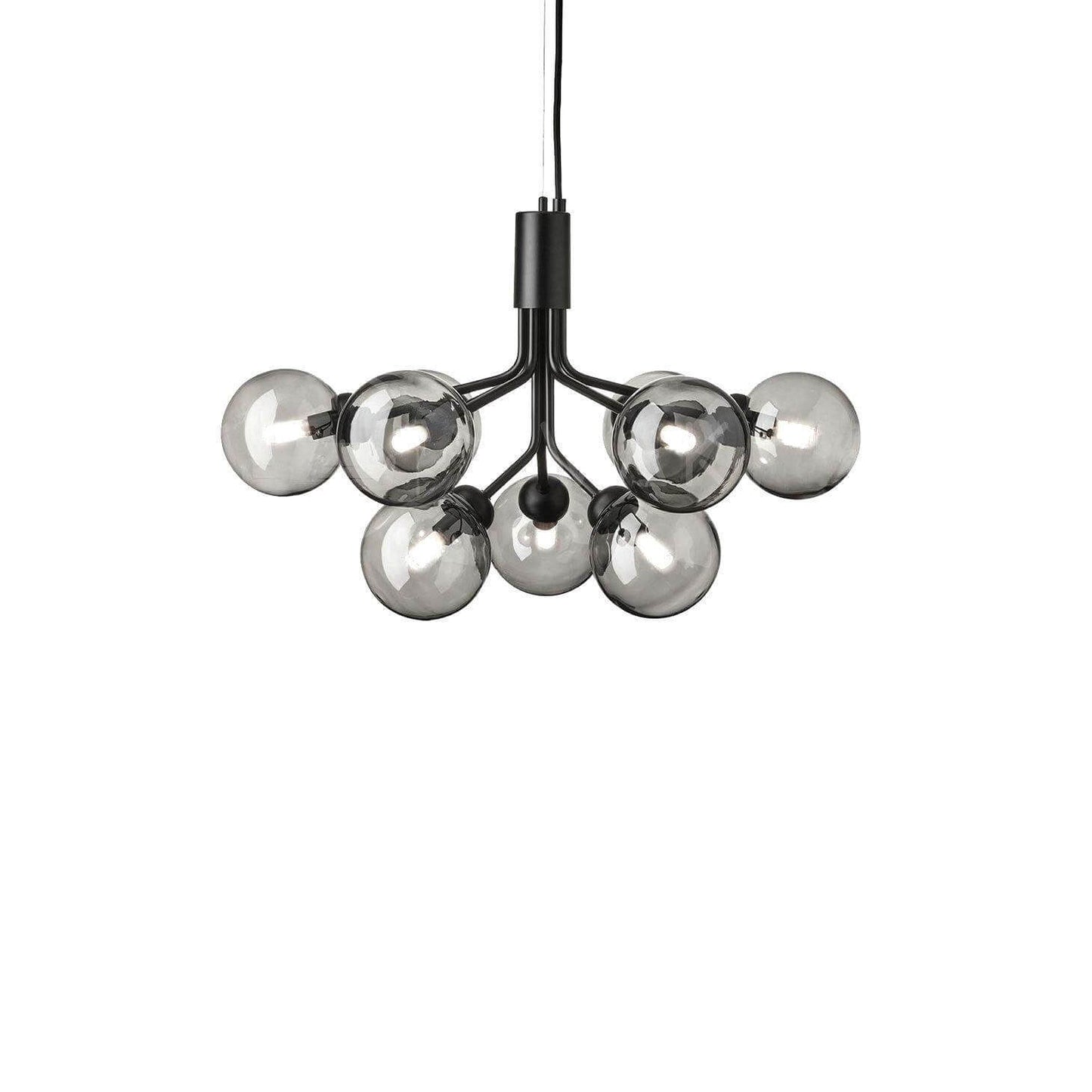 Apiales Chandelier