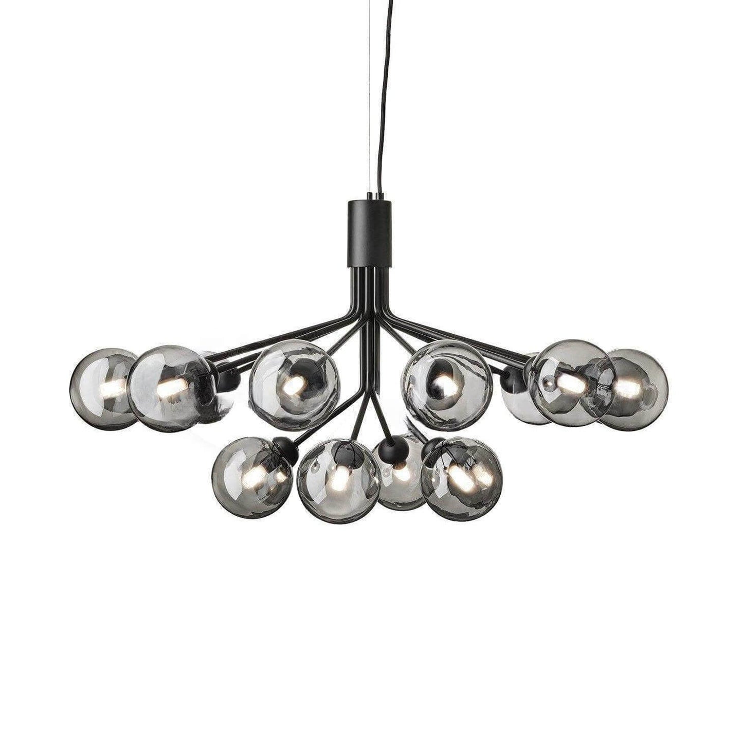 Apiales Chandelier