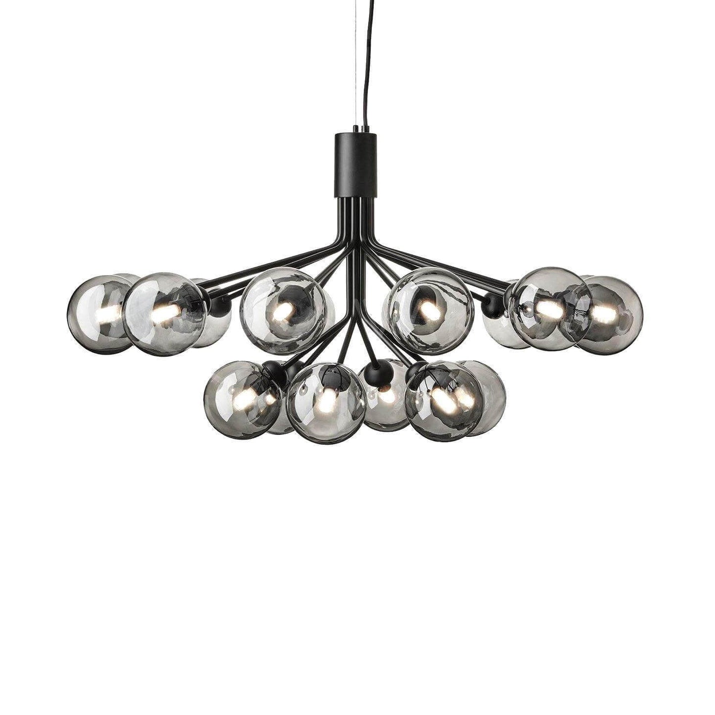 Apiales Chandelier