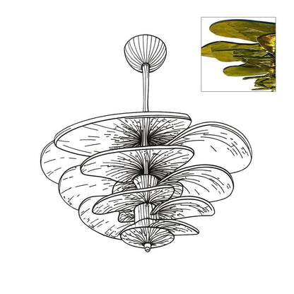 Calura Chandelier