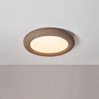 Concise Ceiling Light