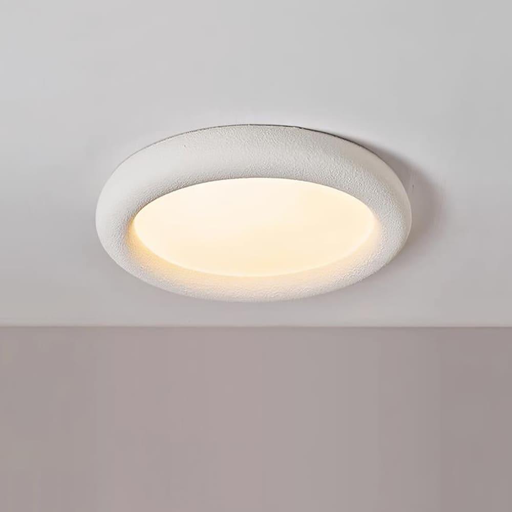 Concise Ceiling Light