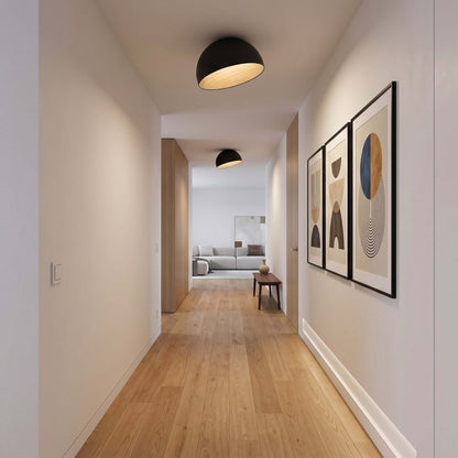 Duo Slanted Ceiling Lamp