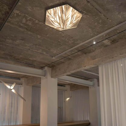 Fragment Ceiling Lamp