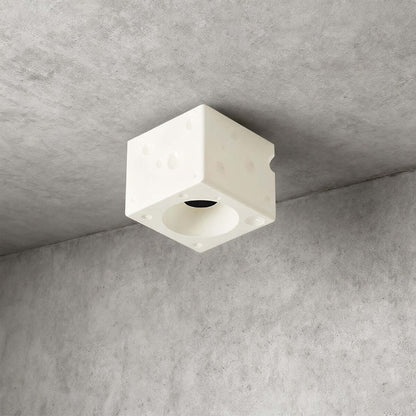 Dalmor Ceiling Light