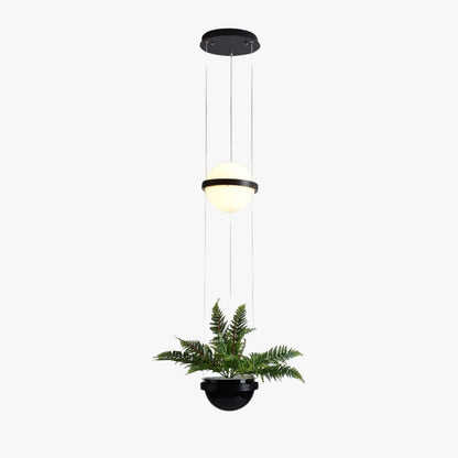 Palma Pendant Lamp
