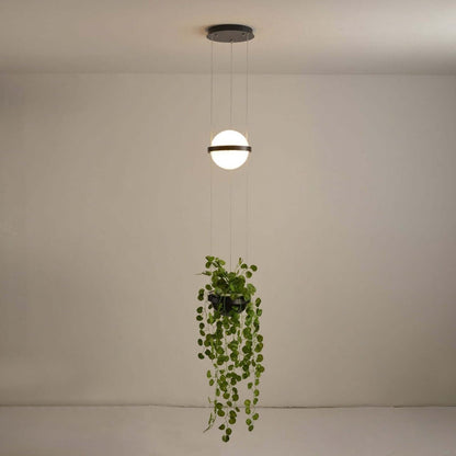 Palma Pendant Lamp