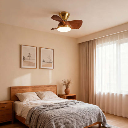 Ravine Fan Ceiling Light