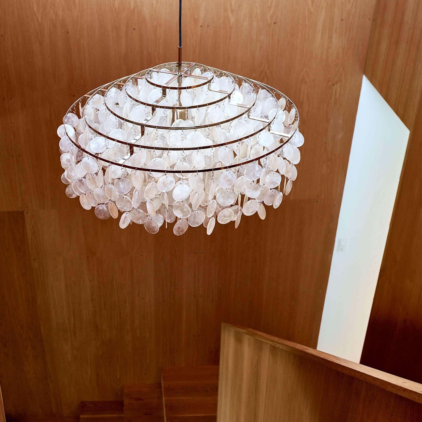 Sea-shell FUN DM Suspension Lamp