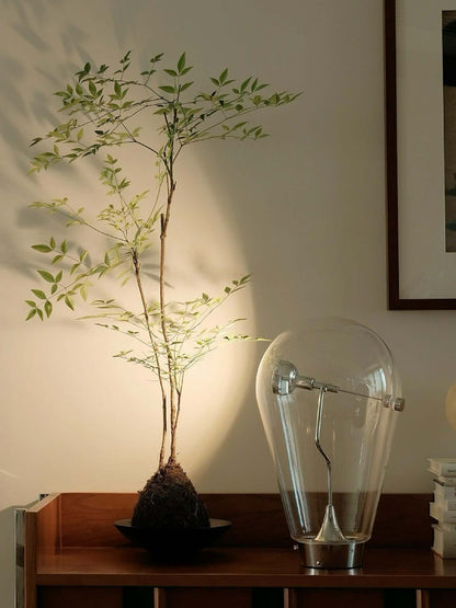 Bulb Glass Table Lamp