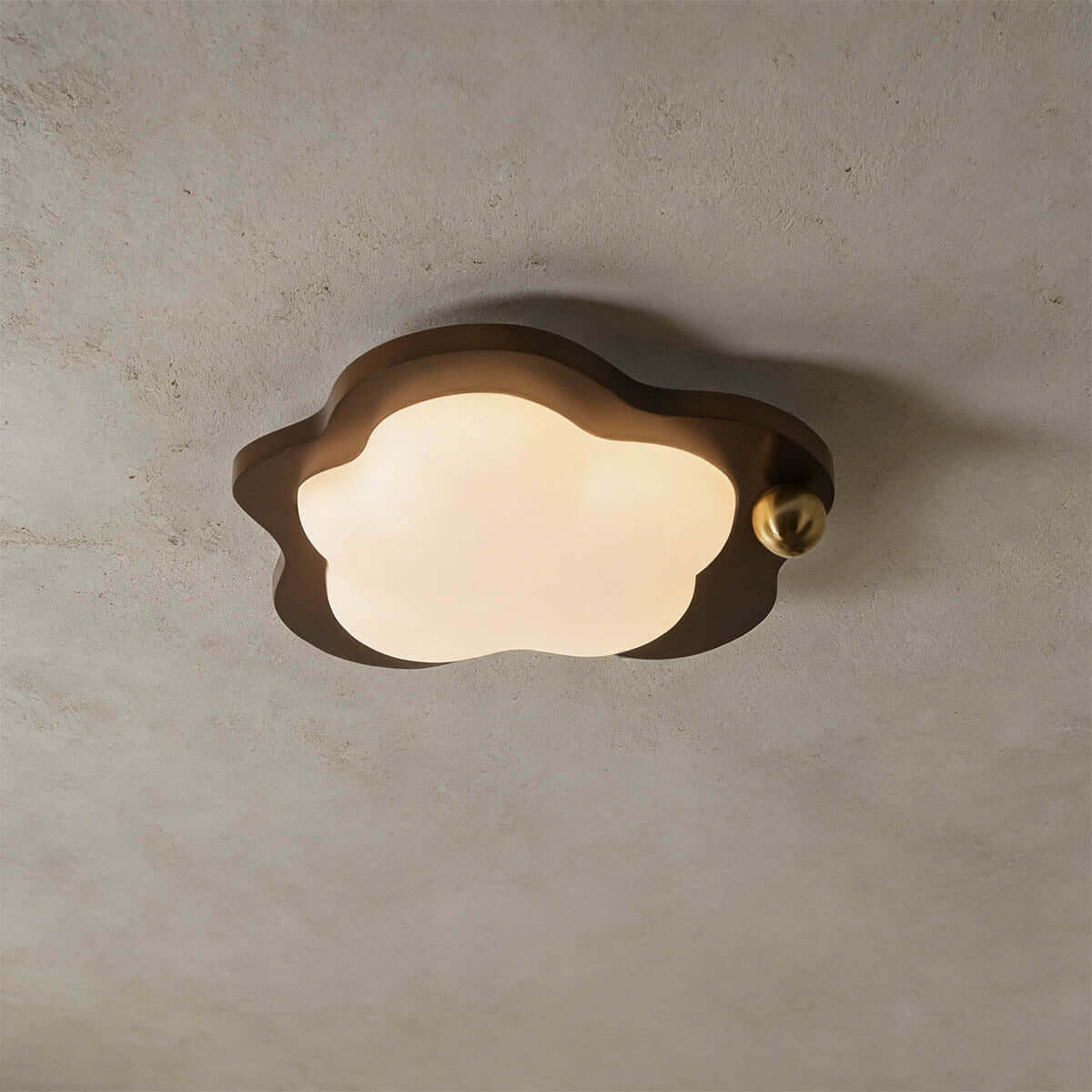 Calenu Ceiling Light